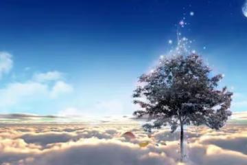 前妻生病後讓我照顧她，前妻：我這病傳染，我不想連累我丈夫