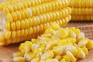 玉米熟的保存還是生的保存？記住這個技巧，放一年味道也不變