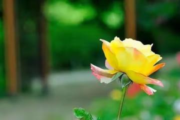 男人不愛了：明顯的態度，就剩下「一個」字