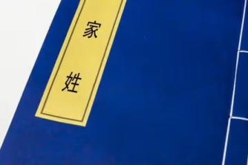 兒媳騙我,孩子跟她的姓!我不照顧外姓孫子,財產給隨父姓的孩子