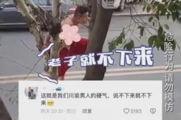 川渝男子被媳婦追到上樹，踩著枝頭硬氣放出狠話，轉身一幕笑噴了