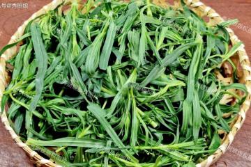 別不懂行！這3種極品野菜抓緊吃，全身是寶！可惜現在都被當雜草