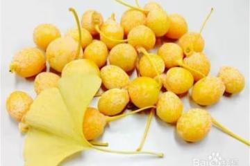 銀杏果怎麼吃?銀杏果食用禁忌有哪些?聽聽專家怎麼說
