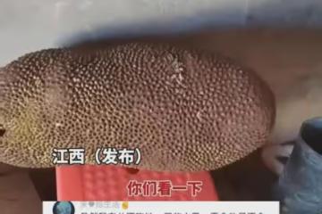 丈夫吐槽妻子買太多零食，太能吃：不窮都難，開個超市都能吃倒閉