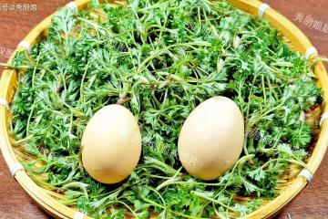 老人說「春天吃一草，百歲不顯老」，這「一草」指啥？4月抓緊吃