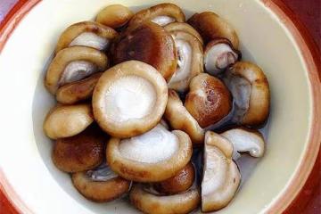 香菇一般煮多久能熟？如何做出美味的香菇？