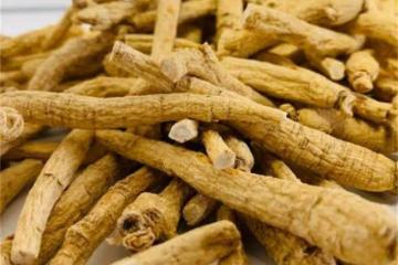 西洋參哪裡的產地比較好？西洋參泡水喝一天需幾根？