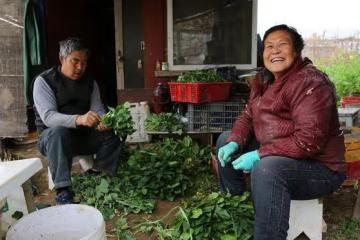 河南6旬大媽20年前向兄妹借錢蓋房子，卻沒有借來一分錢，因為啥