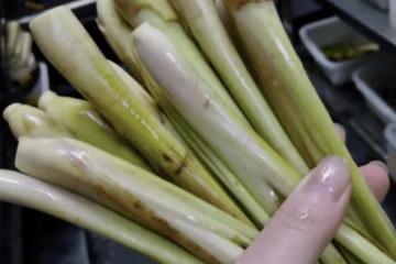 3種花好聞好看!家裡養1盆「夏天蚊子不敢來」 驅蚊效果強:晚上睡得香