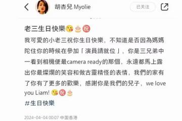 胡杏兒慶小兒子滿3歲,蜘蛛俠派對熱鬧隆重,一家五口同框超幸福