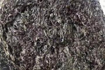 頭水紫菜和普通紫菜有什麼區別？簡單三步，辨別頭水紫菜