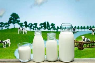 羊奶、牛奶有啥區別，哪種營養價值高？喝羊奶好，還是牛奶好呢？