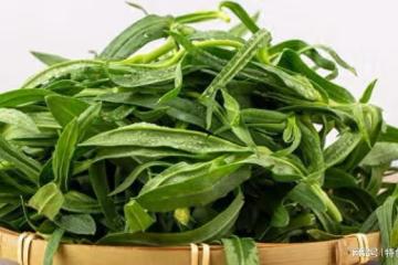 10種營養價值被嚴重低估的野菜,你都吃過幾種?