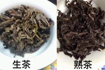 普洱生茶和熟茶有何區別？普洱生茶和熟茶的沖泡方法