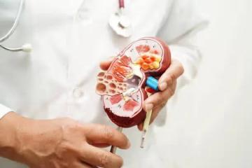 吃錯恐慢性腎衰竭!醫師曝「5種包餡食物」是傷腎大魔王 第1名「早餐店也有」示警:兩類人別碰