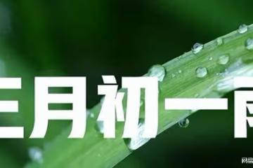 今日農曆三月初一,記得3事不做3樣不吃,順應節氣,科學飲食