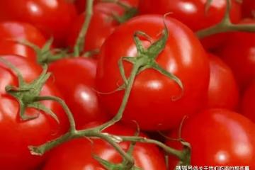 買西紅柿時,遇到「這5種」再便宜也不能買,看完記得告訴家裡人