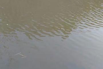 故事:一天深夜,二流子去魚塘偷魚,聽到窩棚里傳出女人的呼救聲