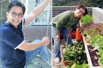 56歲許傑輝頂樓變菜園，自己種菜自己吃，當「城市農夫」20年，不只為吃菜，更是心靈的棲所：是一種修行