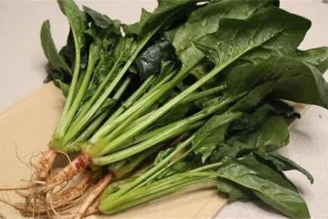 提醒：10種常見蔬菜，或是嘌呤的大本營，尿酸高的人，建議少吃