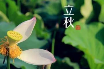 立秋之後,多吃7樣,少吃3瓜,輕鬆避開「秋老虎」,健康貼秋膘