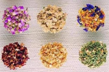 花茶有哪幾種？哪種花茶最好喝？好的花茶怎麼選？