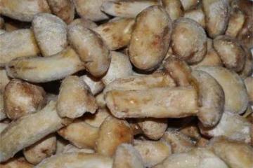 松茸直接凍還是洗了再凍?松茸的正確保鮮方法和冷凍方法