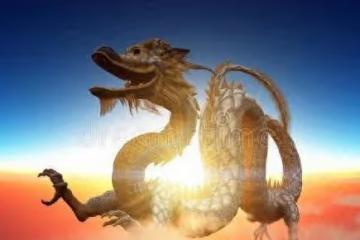屬龍的和什麼屬相最配