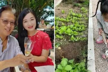 陳少霞入住新豪宅,曬自家菜園,65歲老公與3歲女兒開心摘菜,一家人樂在其中