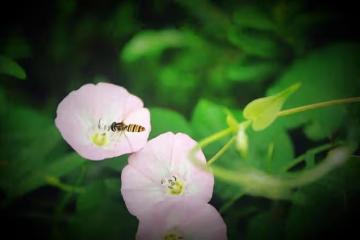 59歲的沈阿姨再婚3年後散夥，她說：我不扶貧，底線必須堅持