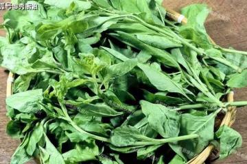 男人養肝強壯,女人養肝漂亮,多吃3樣養肝菜,排出毒素一身輕鬆