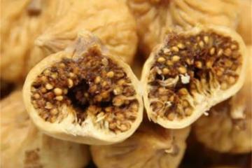 無花果怎麼曬成果乾?農村傳統方法曬無花果乾,簡單方便又好吃