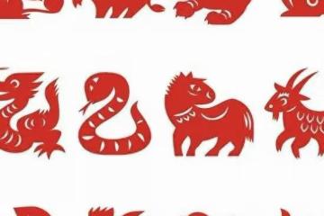 雙魚座:目標鎖定!衝刺開始,穩穩地向前,成就自我!