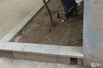 女子離婚後偷偷來看兒子,下秒就被拉著躲進角落,兒子一番話扎心