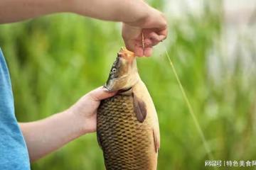 打窩後釣魚的黃金時機揭秘!聰明釣友必讀!