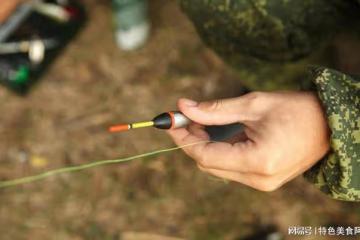 解決釣竿硬切線跑魚問題的實用技巧