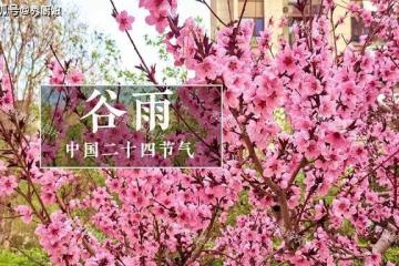 明日穀雨，老人說「穀雨吃3草，不往醫院跑」，「3草」具體指啥？