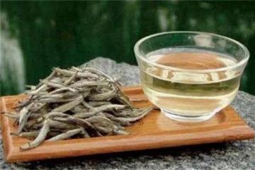 白茶是綠茶還是紅茶？白茶是什麼茶？茶樹品種和製作工藝別搞混了