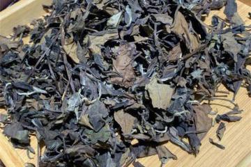 貢眉白茶是什麼茶？貢眉和壽眉的區別有哪些？