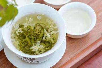 茉莉花茶適合什麼體質的人喝?茉莉花茶的正確沖泡方法