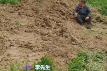 母親因病去世父親常去看她,靜坐安葬處發獃跟兒子懺悔:沒照顧夠