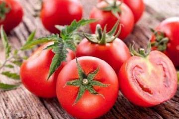 番茄和西紅柿有區別嗎?有機西紅柿與普通西紅柿的區別