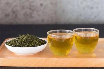 四季春茶屬於什麼茶？夏茶、秋茶和春茶，有什麼差別？