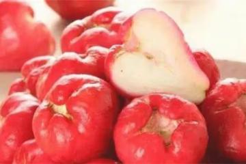 蓮霧有什麼益處？可生吃和做菜肴？有哪些禁忌？蓮霧果的正確吃法