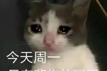 是真的不配嗎？