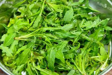 4月，看到這菜大膽吃！一刮油、二利尿、三增免疫，包餃子吃真香