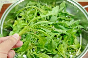 春天寧可不吃肉,也要多吃這3菜,鮮嫩營養高,正當季,別不懂吃