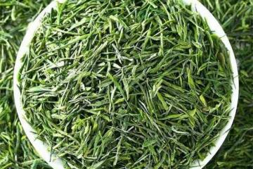 中國四大綠茶品種有哪些?綠茶的四大種類