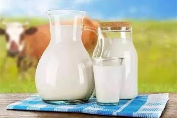 牛乳和牛奶的區別在哪?怎麼辨別純牛奶?什麼又是生牛乳?