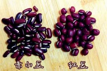 赤小豆和紅小豆的區別在哪裡？怎麼分辨紅小豆和赤小豆？